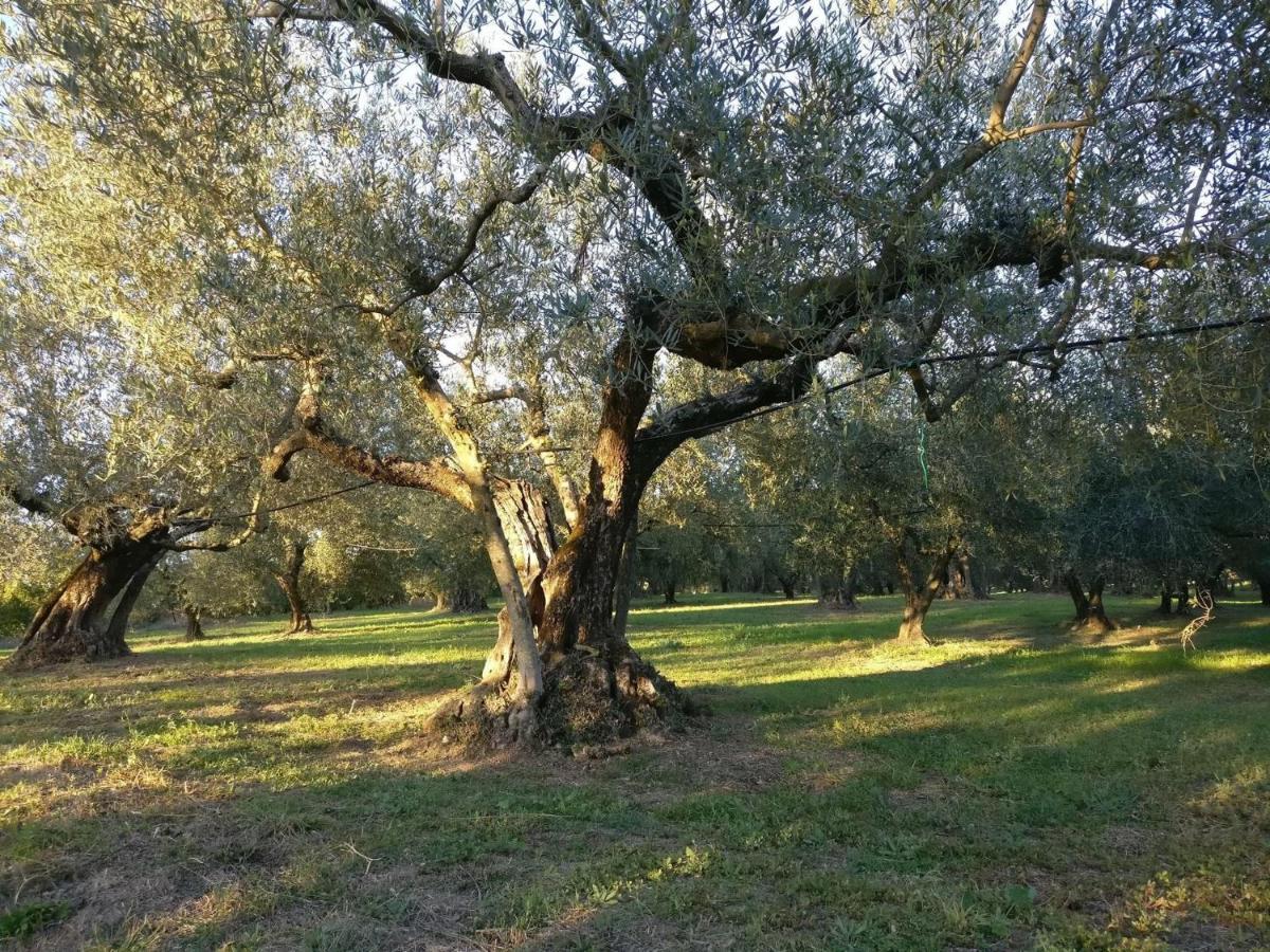Agriturismo La Villetta San Lorenzo Nuovo Εξωτερικό φωτογραφία
