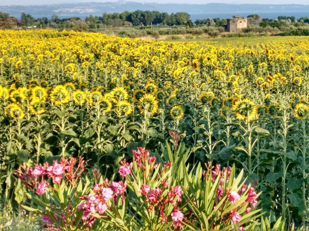 Agriturismo La Villetta San Lorenzo Nuovo Εξωτερικό φωτογραφία