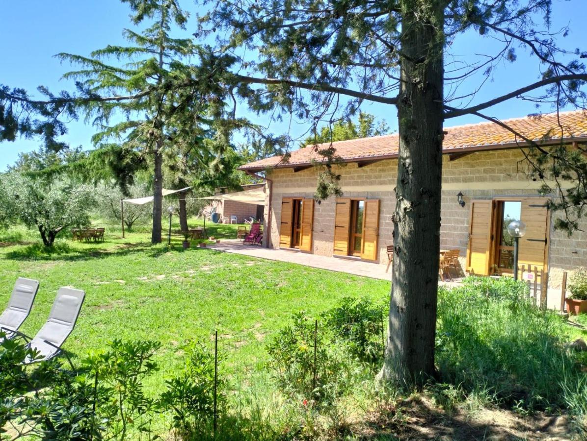 Agriturismo La Villetta San Lorenzo Nuovo Εξωτερικό φωτογραφία