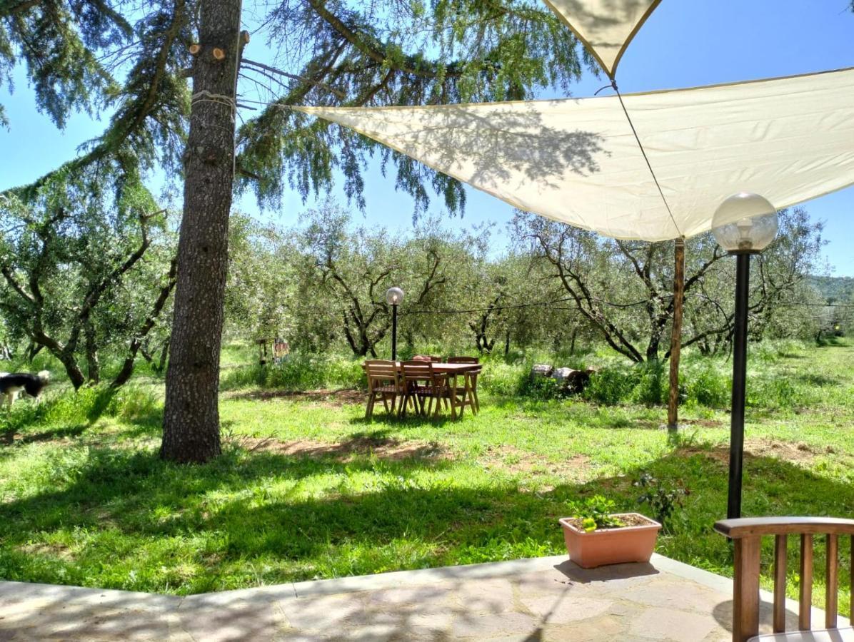 Agriturismo La Villetta San Lorenzo Nuovo Εξωτερικό φωτογραφία