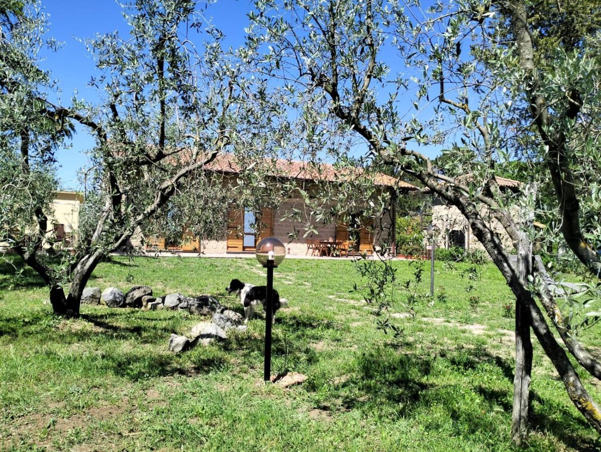 Agriturismo La Villetta San Lorenzo Nuovo Εξωτερικό φωτογραφία