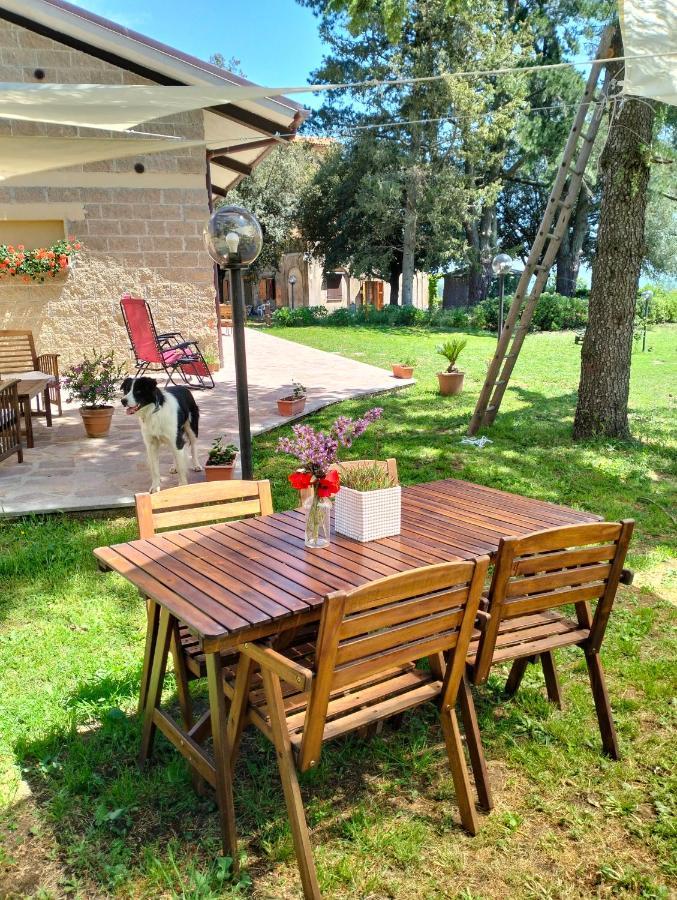 Agriturismo La Villetta San Lorenzo Nuovo Εξωτερικό φωτογραφία